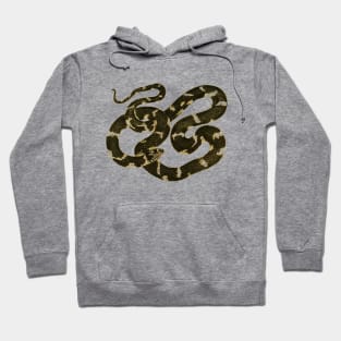 serpent,cobra,reptile,viper,venom,lizard,rattlesnake,king cobra Hoodie